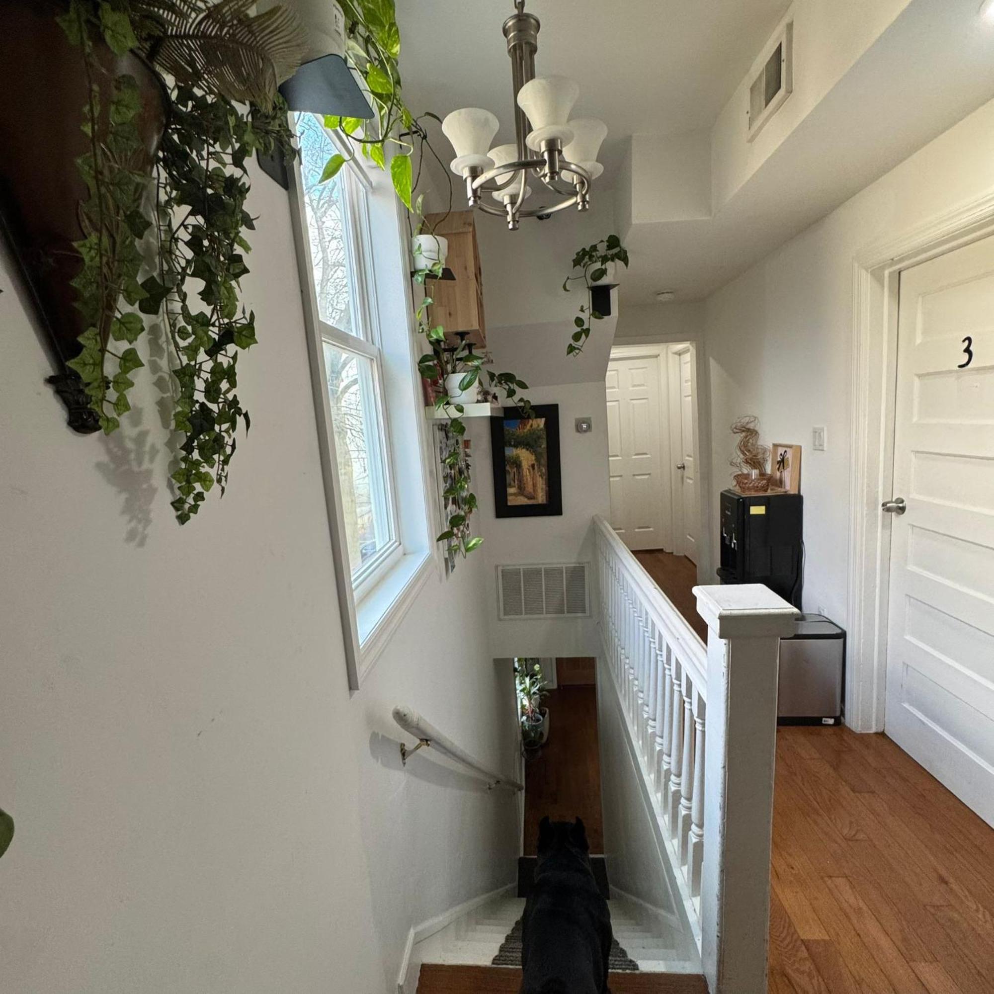 Dayton Dream Apartman Newark Kültér fotó